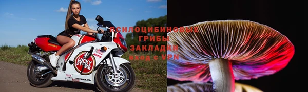 дживик Алзамай