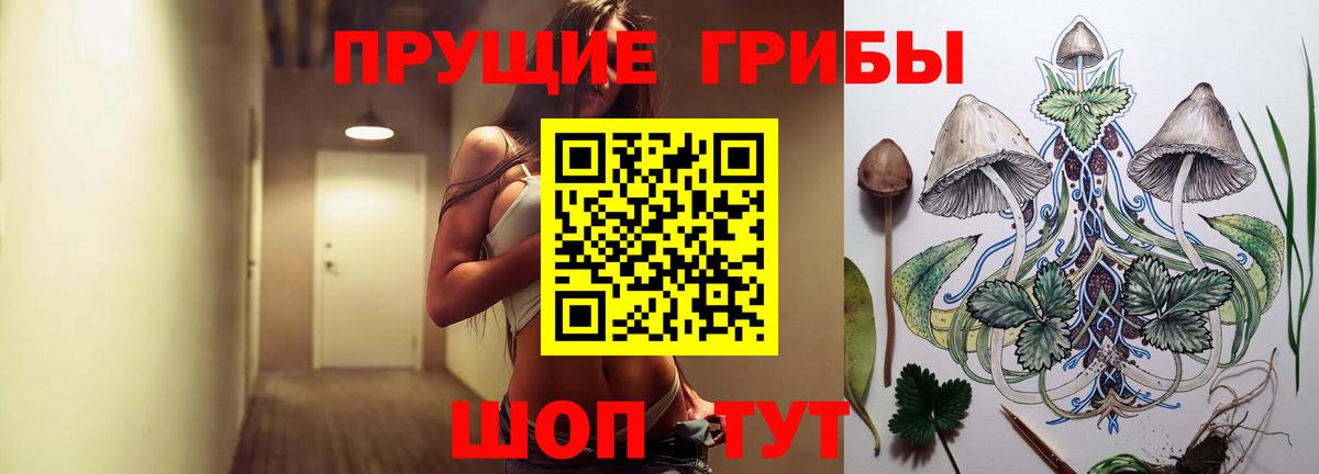 Ржев  Галлюциногенные грибы мухоморы  Вход с VPN 
